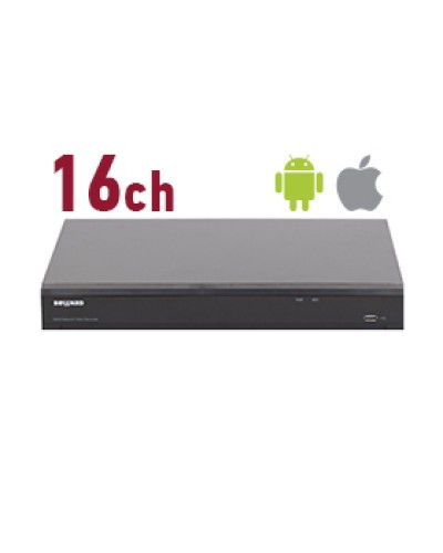 IP-видеорегистратор Beward RK2216 в Пушкино Системы видеонаблюдения Pintop.ru