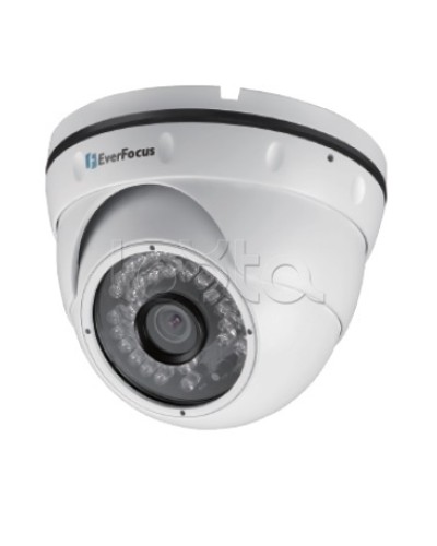 IP-камера видеонаблюдения уличная купольная EverFocus EBN-268 в Пушкино IP-камеры Pintop.ru