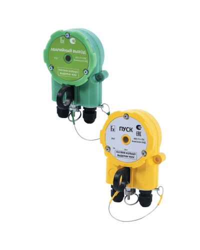 Извещатель Эрвист УДП 535 Халзан П АВАРИЙНЫЙ ВЫХОД -АМ в Пушкино Пожарные извещатели Pintop.ru